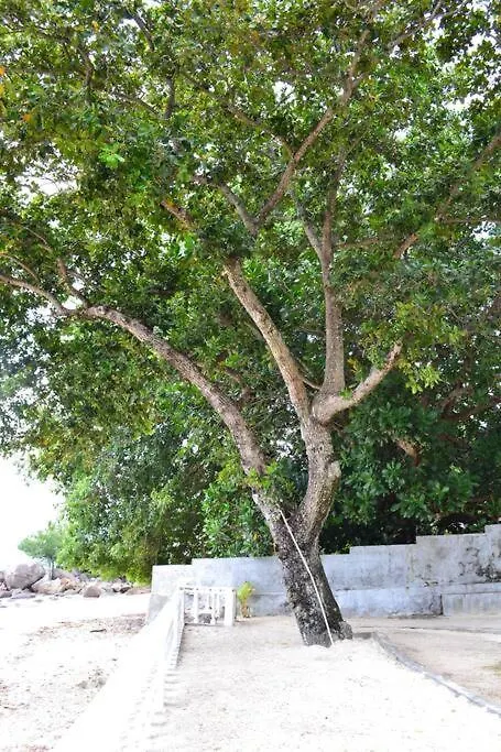 Riva D Etruschi Seychelles Villa Bel Ombre 0*,  Seychelles